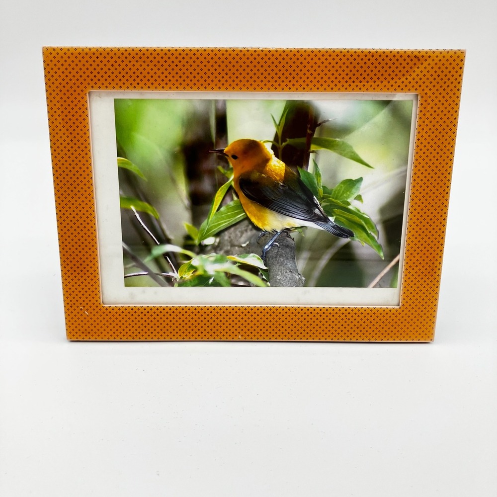 Prothonotary Warbler Yellow Bird Photo Print 8x6 Orange Patterned Frame Matted